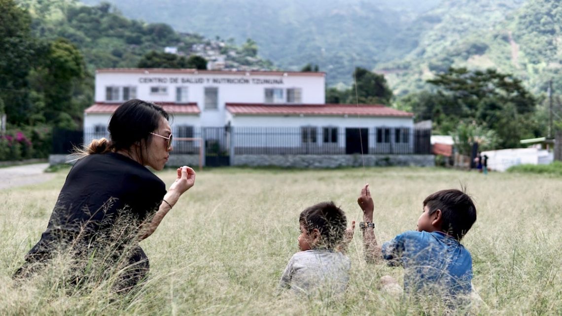 people sitting on green grass field during daytime